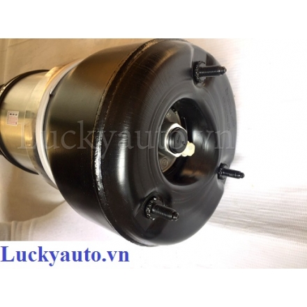 Giảm xóc sau trái xe Mercedes S350 đời 2010_ 221 320 55 13_ 2213205513